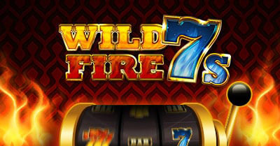 5 Gringos wild fire 7